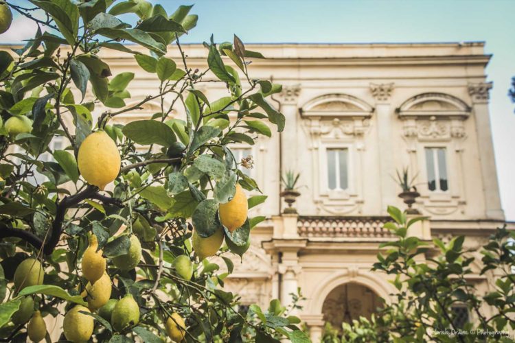Matrimonio a Villa Aurelia